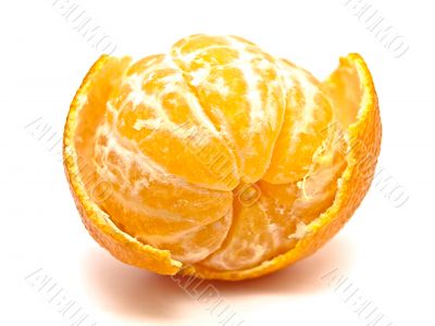 single mandarin