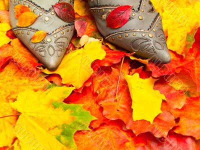 autumn leaves and shoes