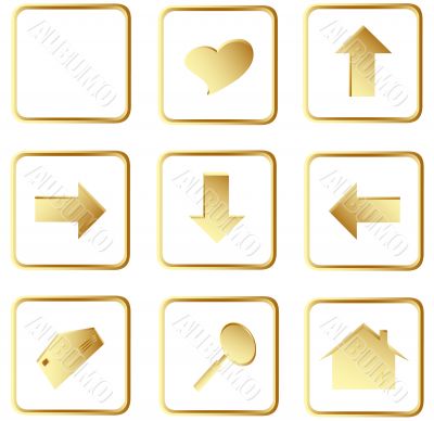  gold square web buttons