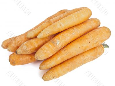 carrots