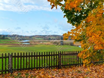 autumn in rural place