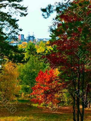 Urban autumn