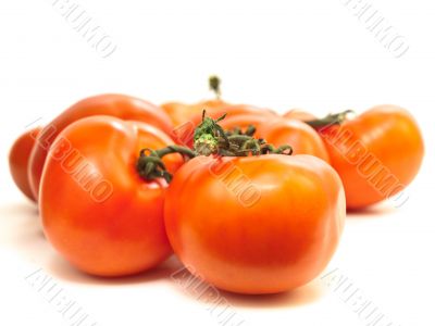 tomatoes
