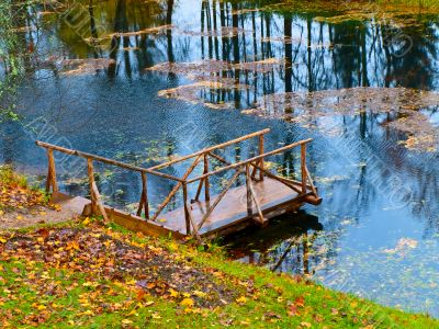 Autumn pond