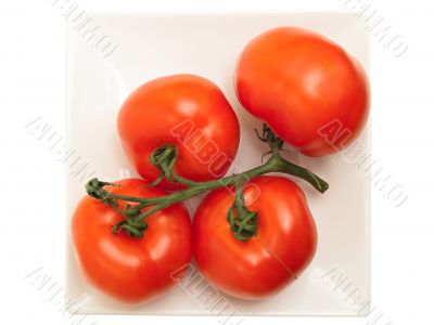 tomatoes in plate