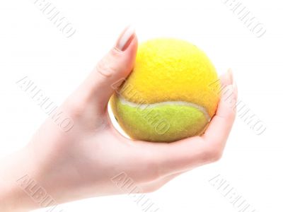 tennis ball in hand