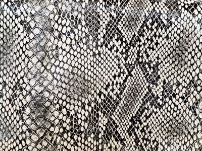 snake pattern