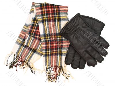 winter rhings