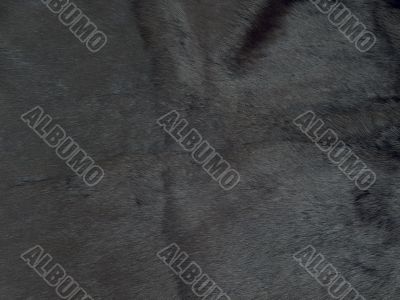 fur background
