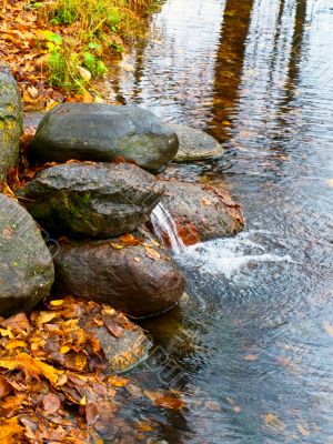 autumn source