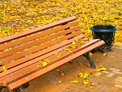 Autumn bench