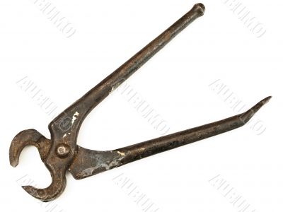a pair of nippers