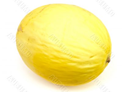 yellow melon