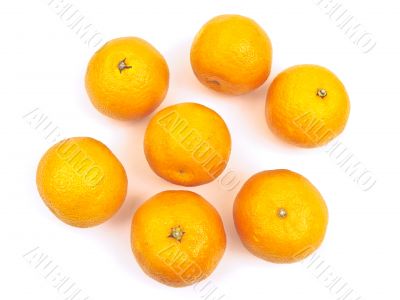  orange mandarines