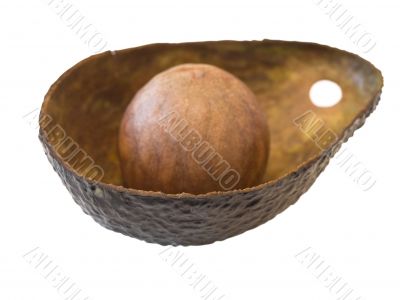 avocado