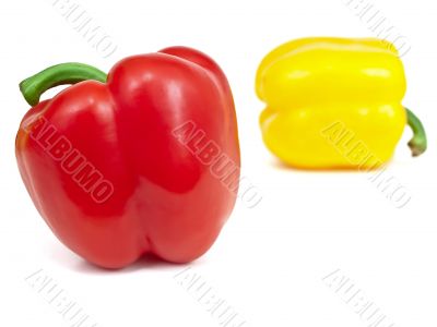 paprika