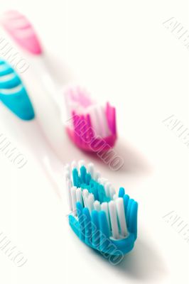 two toothbrushes