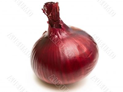 onion