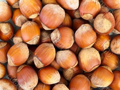 hazelnut background