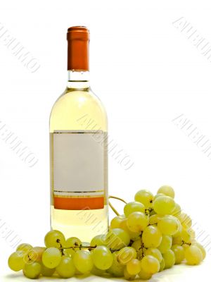  white wine with vine