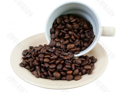 cup of coffee beans