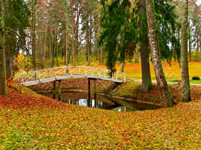 pond and bridge