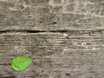 old wooden backgrouns