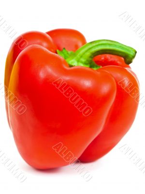 red paprika