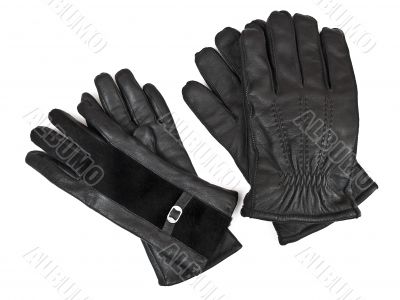 winter rhings