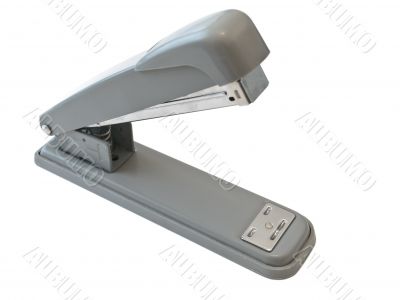 stapler