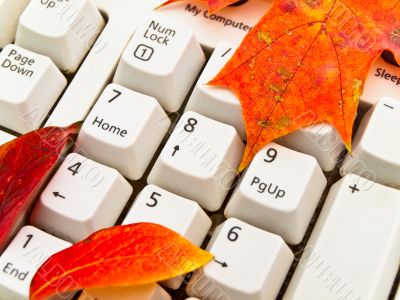 autumn keyboard