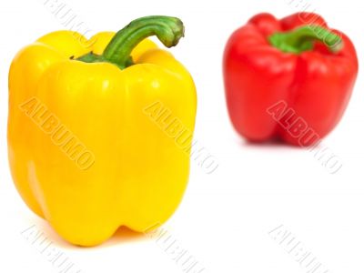 paprika