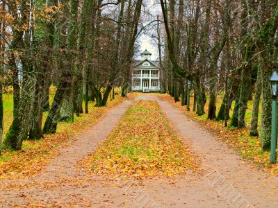 Autumn alley with house