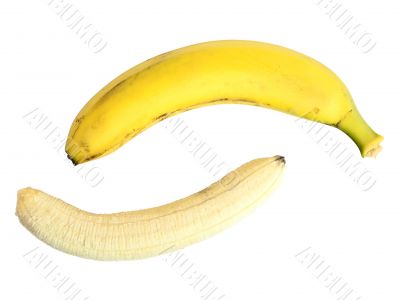 banana