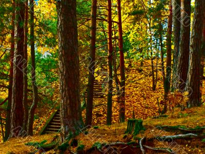 Autumn stairs