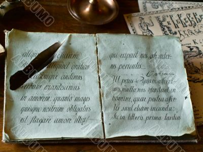 Old write book and feather