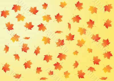 Vector autumn background
