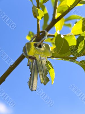 Key at green branch