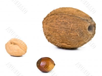 nuts