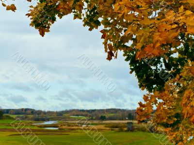 autumn in rural place