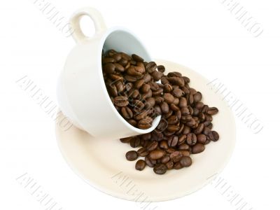 cup of coffee beans
