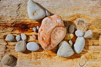 Stones and tree