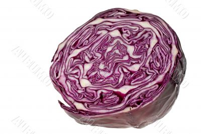 cabbage