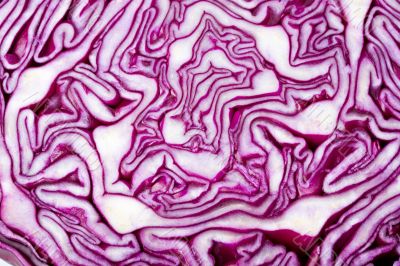 cabbage