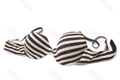 brassiere on white background