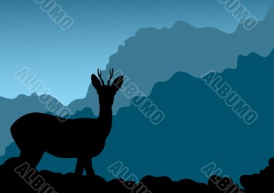 Deer in mountains