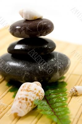 Stones and shells