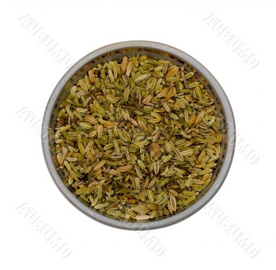 Fennel spices