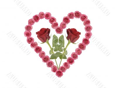 heart with flower rose