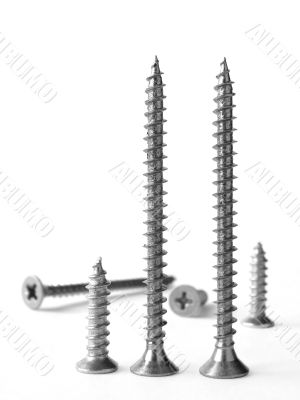 screws